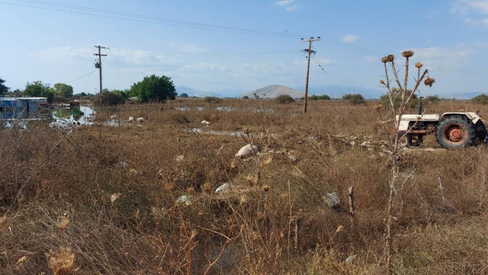 Παλαμάς - Καρδίτσα